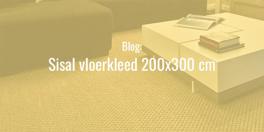 sisal vloerkleed 200x300