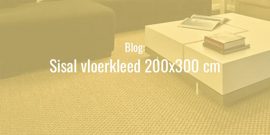sisal vloerkleed 200x300