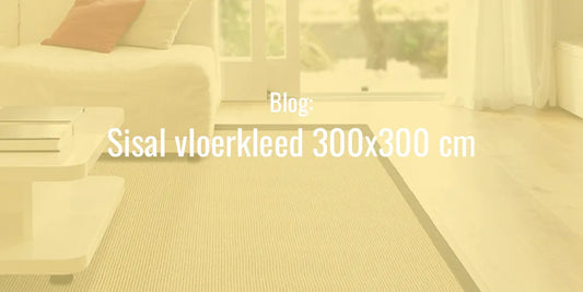 sisal vloerkleed 300x300