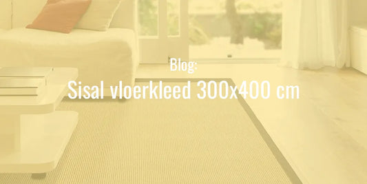 sisal vloerkleed 300x400
