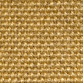 Sisal loper: Yucatan